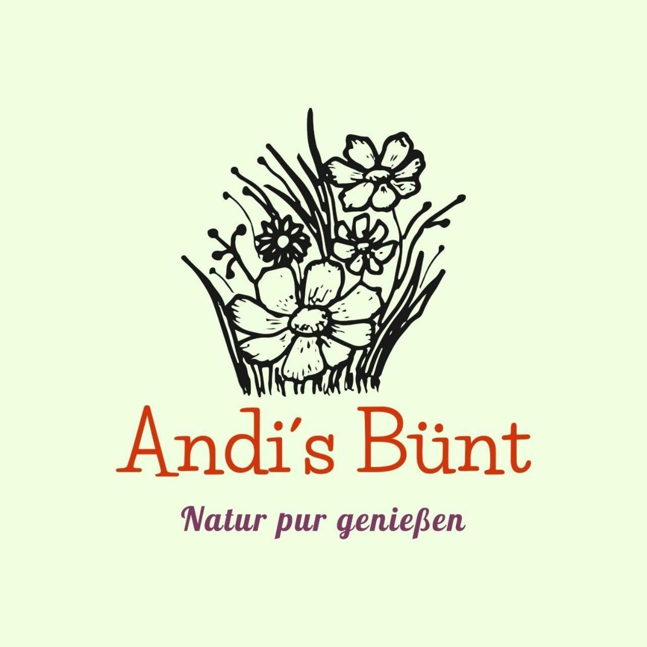 Andis Buent Villa Bizau Exterior foto